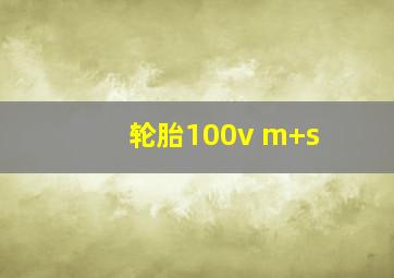 轮胎100v m+s